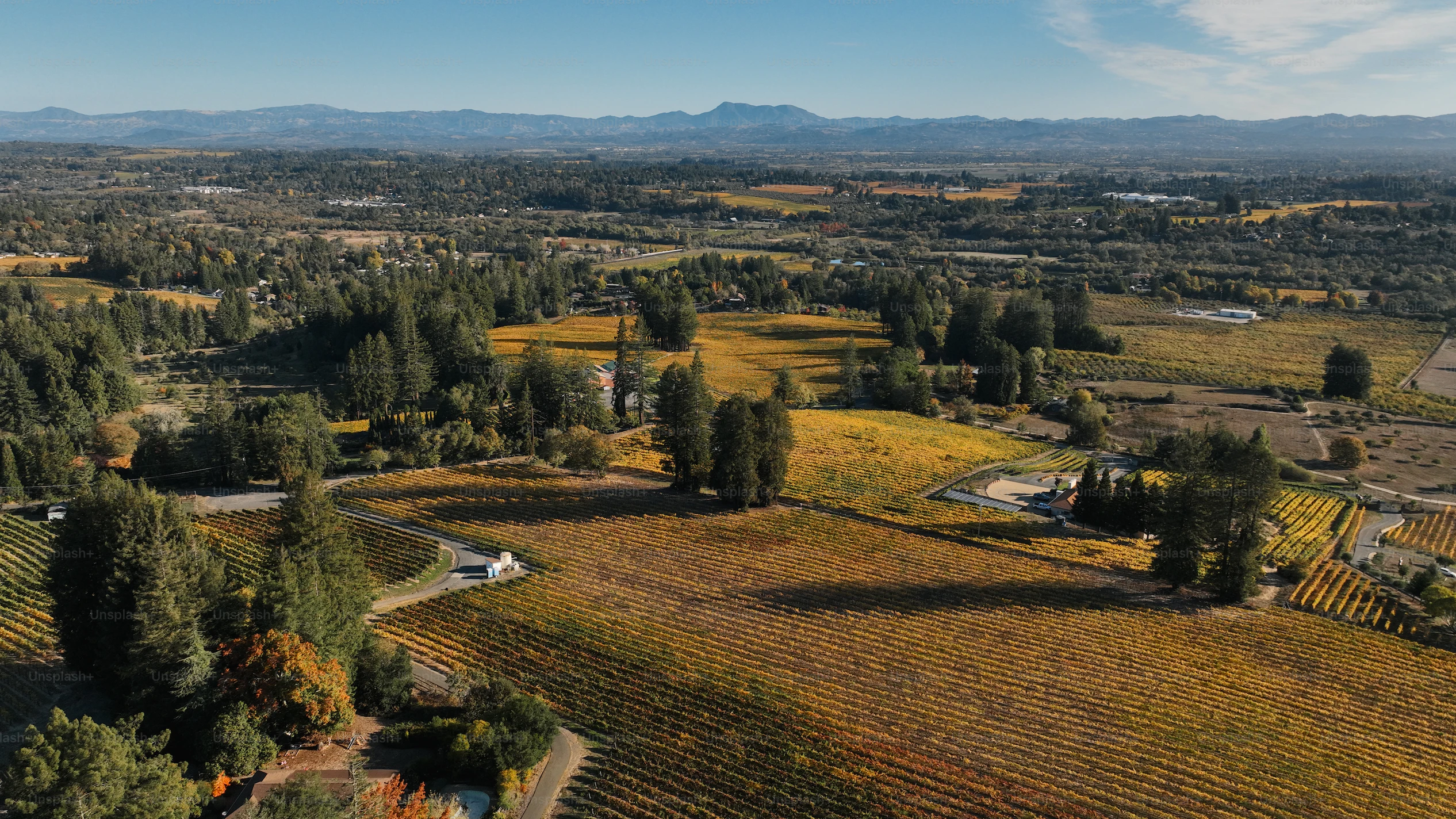 An aerial view of Sonoma County farmland with trees and mountains in the background.
