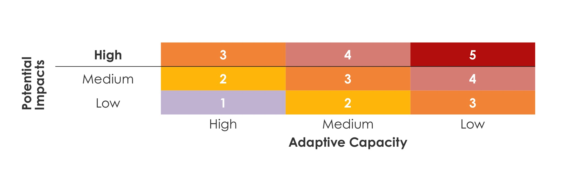 Figure 11 Vulnerability Score Matrix